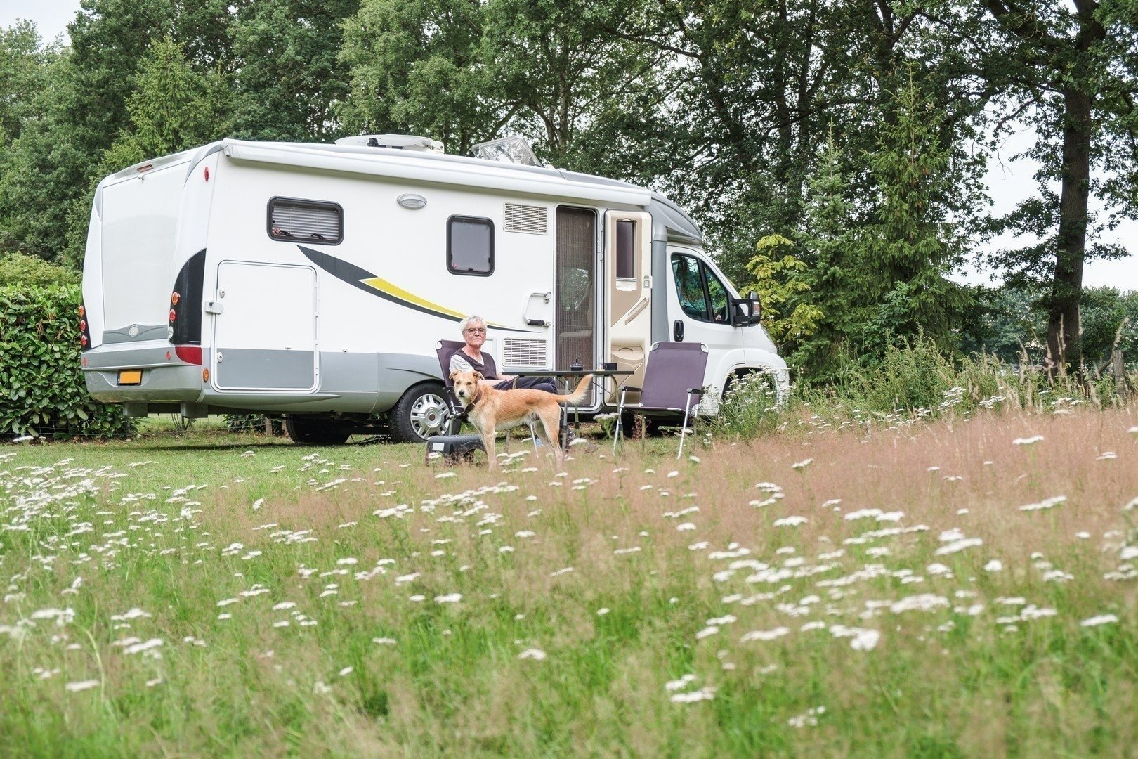 camperplaats bij veendam in de natuur