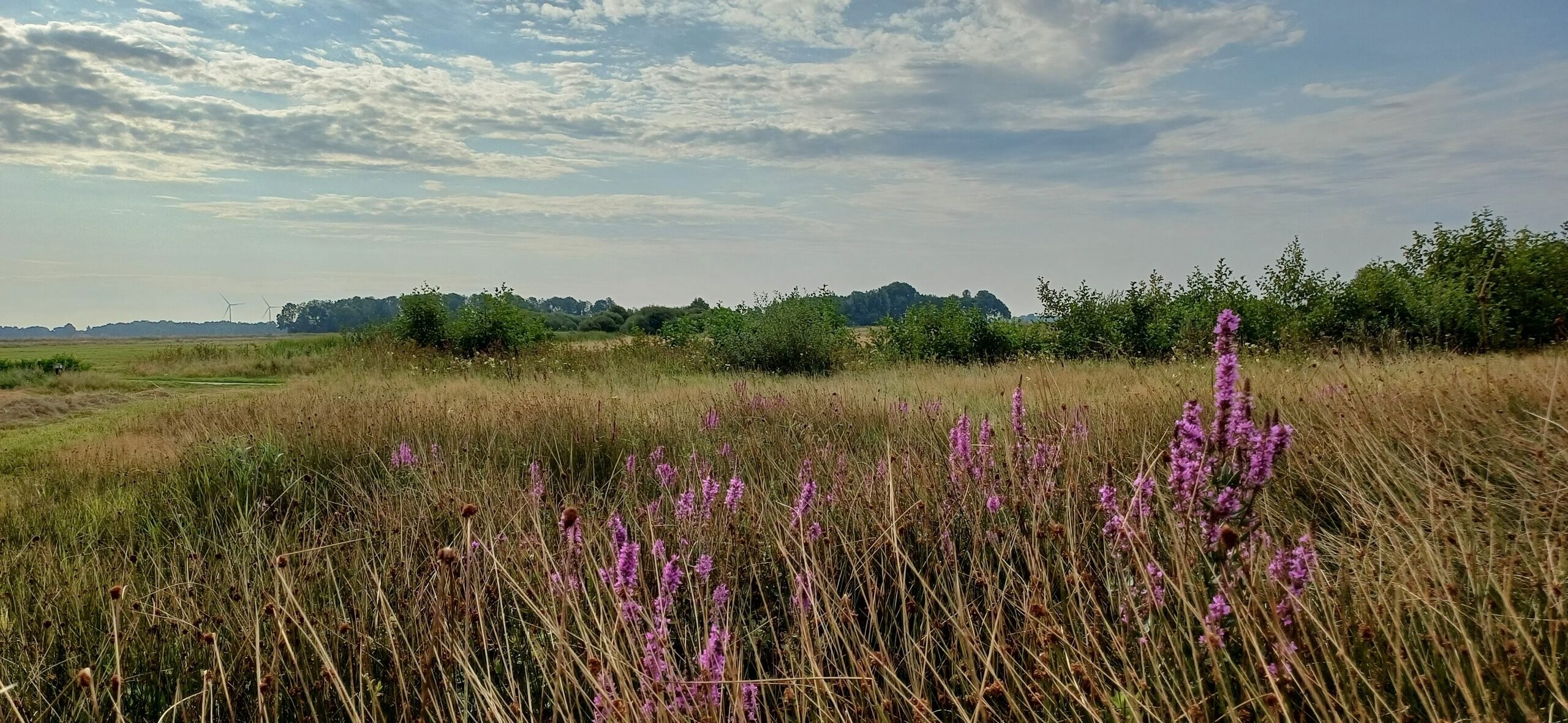 drenthe camping hunze bulten