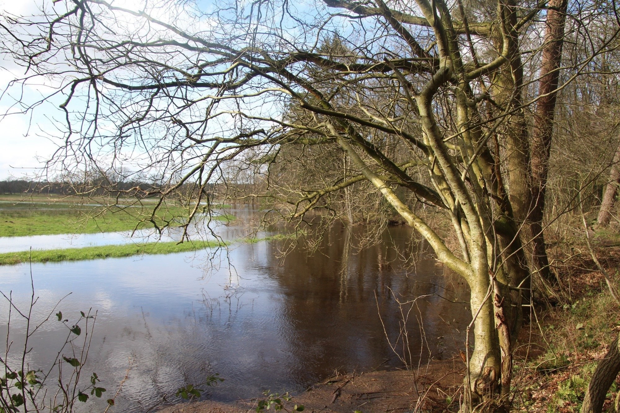 Nationaal park drentsche aa drenthe 2
