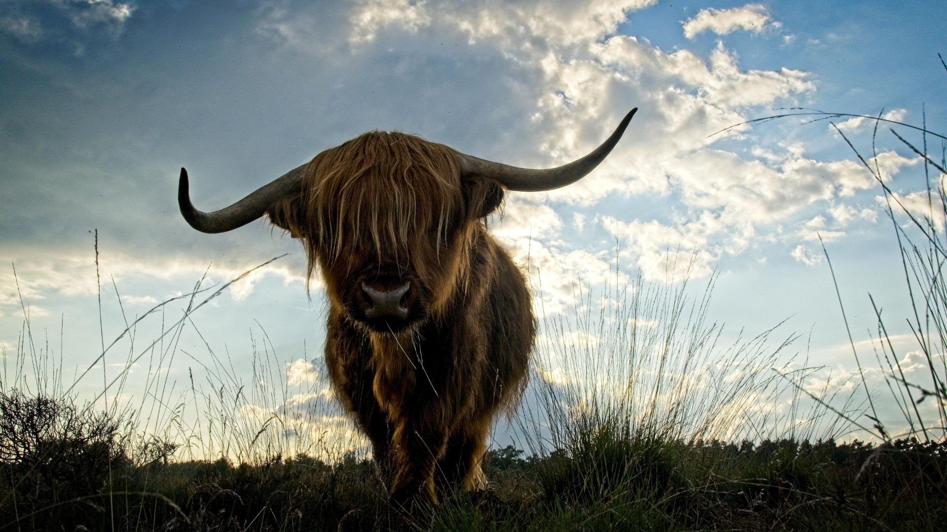 Nationaal Park Drentsche Aa